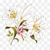 手绘白色百合花花束