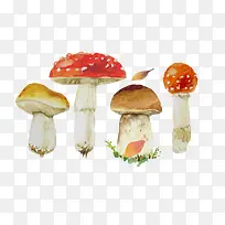 水彩蘑菇素材