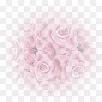 玫瑰花纹