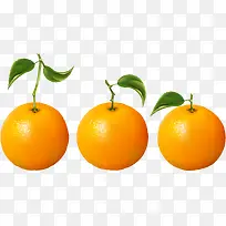橙子 新鲜  香橙  橘子