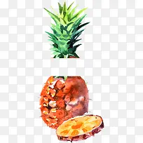 菠萝创意设计水彩水果