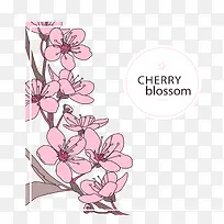 樱花树枝边框