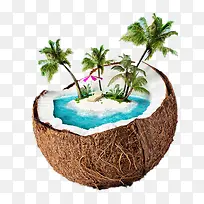 椰子里的风景