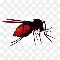 蚊子的微型图