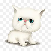 白色小猫咪