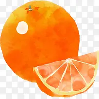 矢量手绘水果橙子