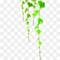 绿色卡通春天景色植物