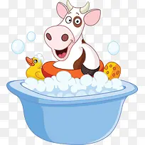 洗澡的可爱小牛