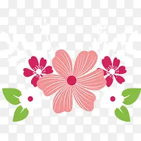 芙蓉花花束标题框