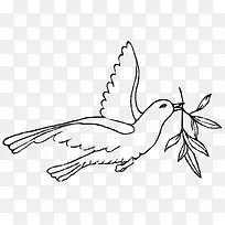 和平鸽手绘橄榄枝