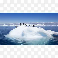 冰山冰块上的企鹅