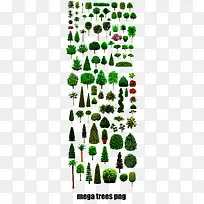 树木绿色大树合集