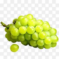 白葡萄免抠水果素材