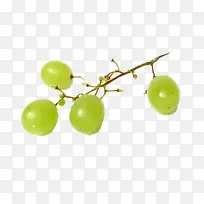 白葡萄水果免抠素材