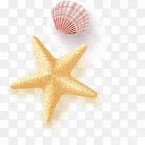 海星海贝矢量图