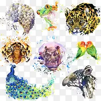 手绘水彩八种动物头像素材