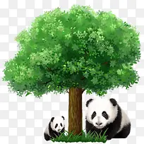 树下的熊猫
