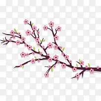 浪漫樱花节粉红树枝
