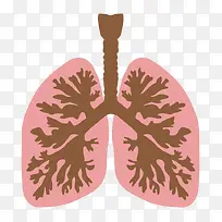 矢量人体肺部图片