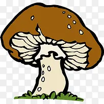野生的蘑菇