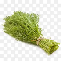 茴香素材