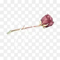 绳子绑上的彩绘玫瑰花