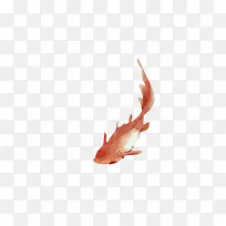 矢量金鱼