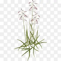 绿色植物矢量图