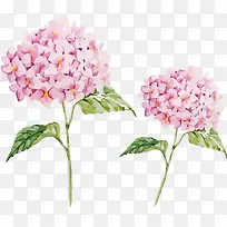 粉色水彩花朵喷画素材