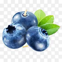 蓝色蓝莓熊果苷素材
