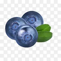 大颗蓝莓熊果苷素材