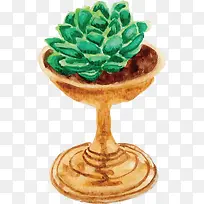 水彩手绘多肉植物