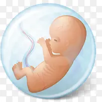 人体胚胎图标