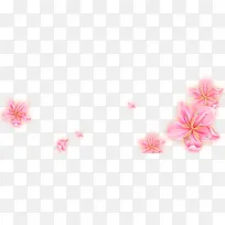 浅粉装饰手绘花朵