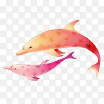 彩色小海豚