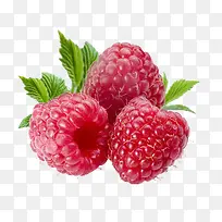 产品实物食物水果树莓