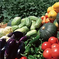 蔬菜，水果，一堆，农产品