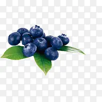 蓝莓水果创意夏季插画设计