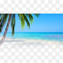 摄影沙滩蓝色海边椰子树