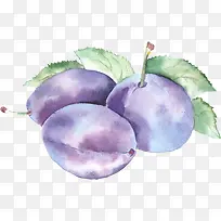 插画水果