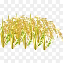 创意水彩合成黄色的小麦稻穗