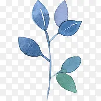 手绘蓝色的植物