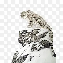 高山雪原上的雪豹国画作品