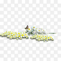春天黄白色花丛蝴蝶装饰