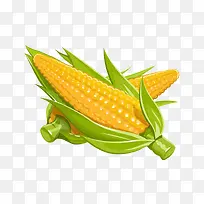 玉米