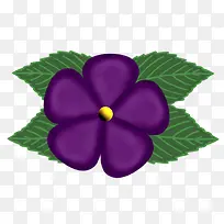 紫色五叶花