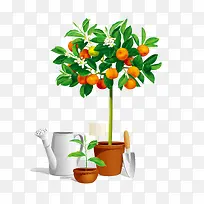 橘子树盆栽矢量图