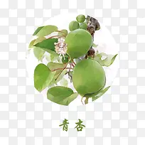 手绘青杏