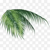 芭蕉叶海南风度假海风