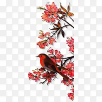 红花枫叶小鸟图片